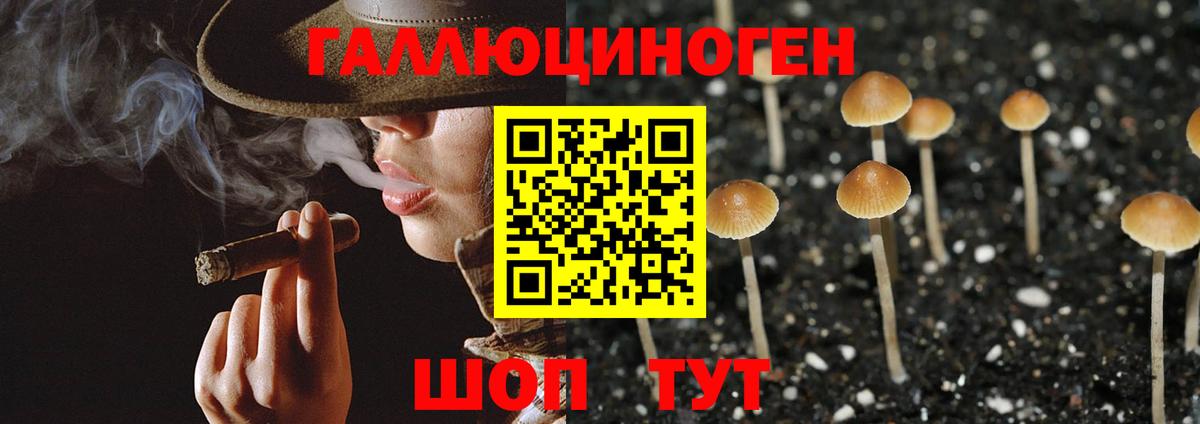 Псилоцибиновые грибы мухоморы  Вход с VPN  Сафоново  Галлюциногенные грибы мицелий 
